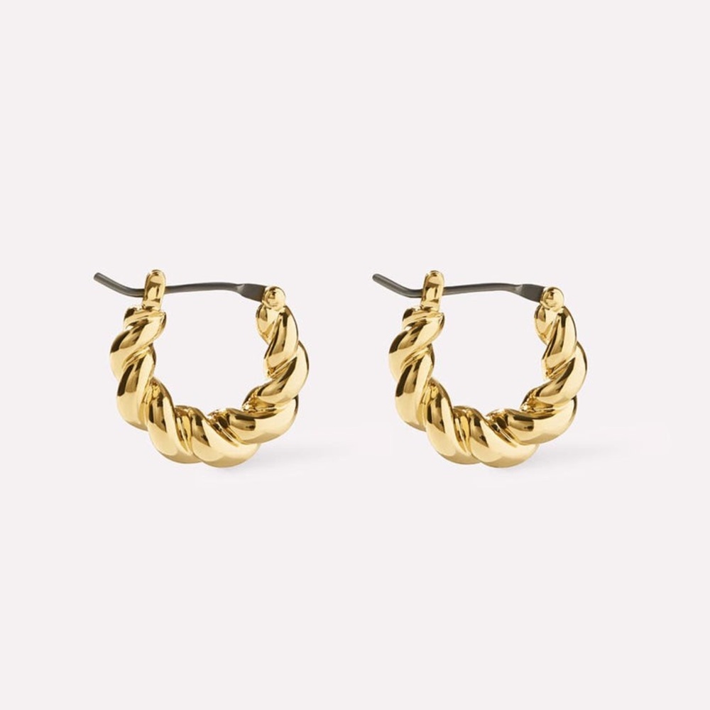 NWT Ana Luisa Paris Small Twisted Hoop Earring